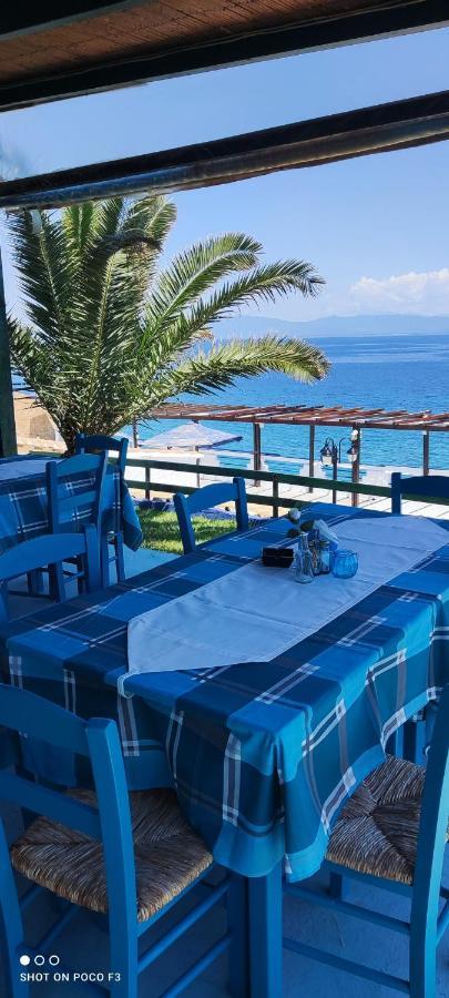 Koralli Beach Niforeika Bagian luar foto