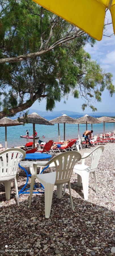 Koralli Beach Niforeika Bagian luar foto